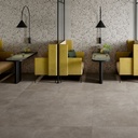 Phoenix Taupe Outdoor Porcelain